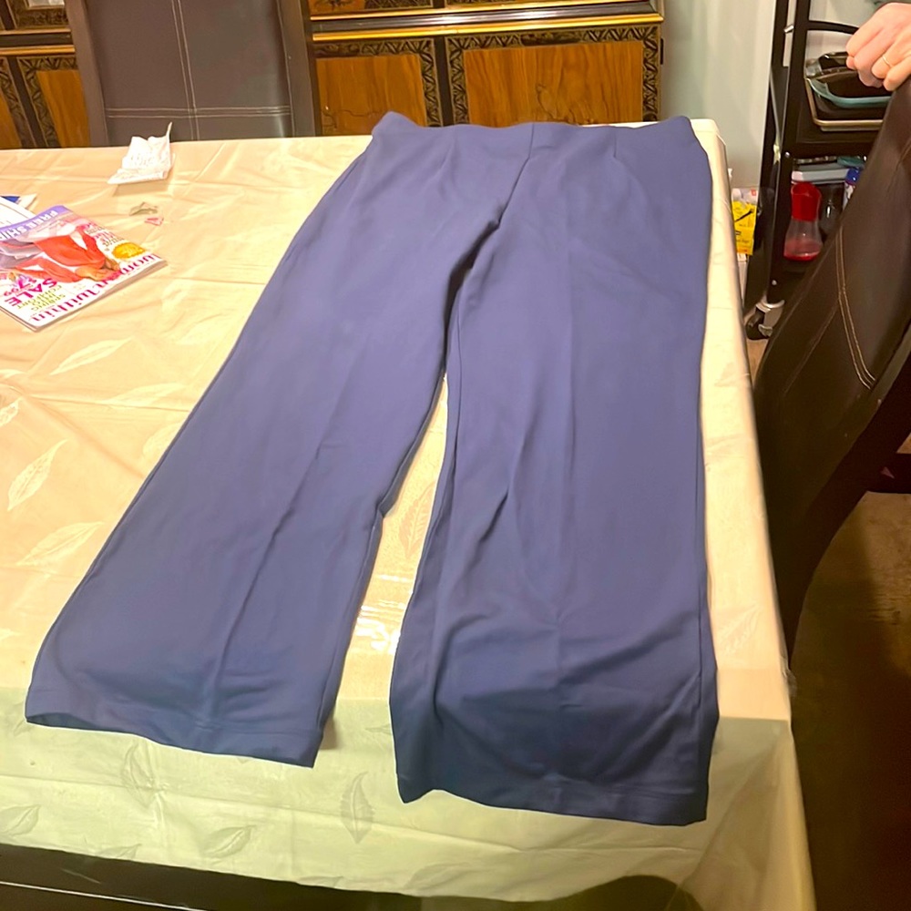 Woman with Control Navy slacks XL
